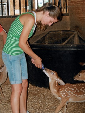 Lindsay Modugno feeding deer