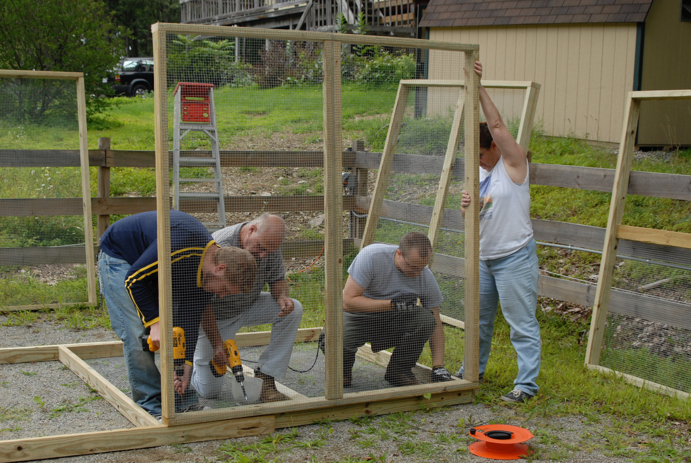 Cage Building 2008